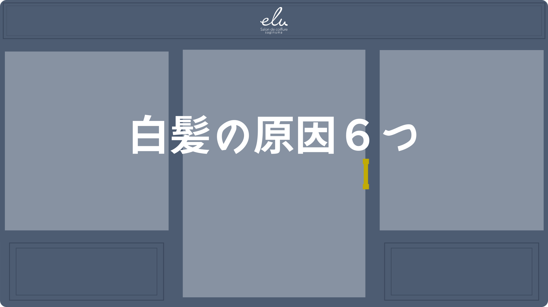 鷺沼の美容室elu鷺沼髪質の変化のブログ白髪の原因６つ